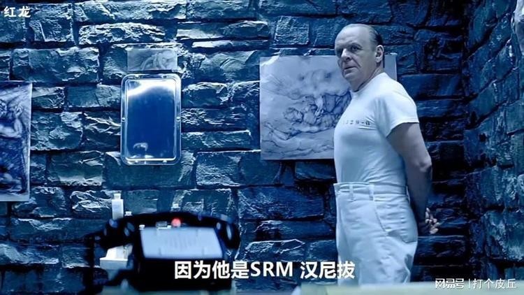 紅龍比賽視頻大全