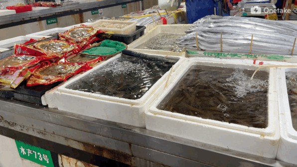 水龍魚學名：關于水龍魚的學名