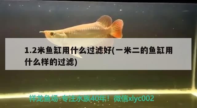 鐵嶺市銀州區海之境觀賞魚具專營店（鐵嶺市銀州區海之境觀賞魚具專營店電話）