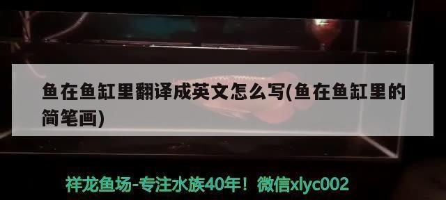 魚缸in和out怎么區(qū)分出來：魚缸中的in和out代表了不同的水流入出方向