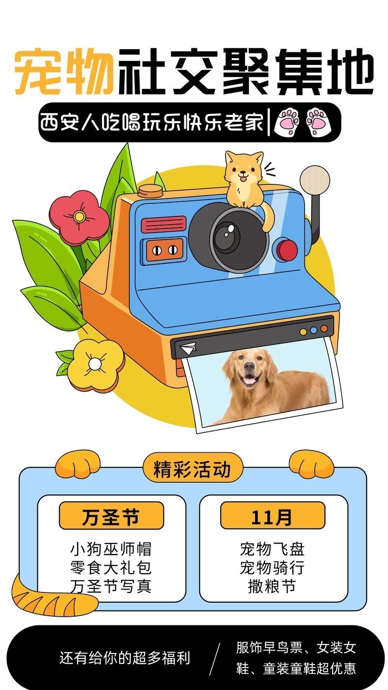 寵物展上有哪些互動活動？