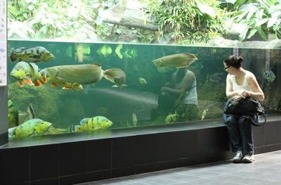龍魚進(jìn)食不積極怎么辦：龍魚進(jìn)食不積極可能是由于多種原因引起的，龍魚進(jìn)食不積極怎么辦