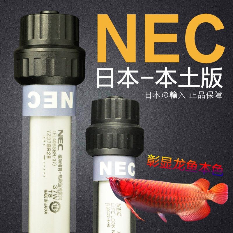 龍魚為什么要用三基色燈：三基色燈在龍魚飼養中的應用