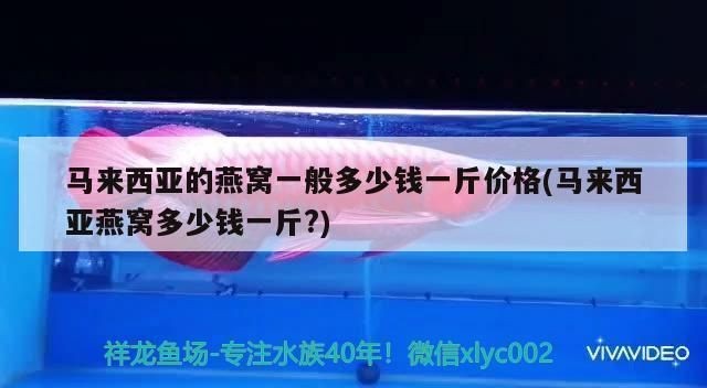一米魚缸用8毫米玻璃：一米魚缸用8毫米玻璃是一種怎樣的設計