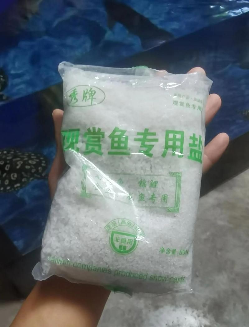 皇冠魟魚怕鹽嗎