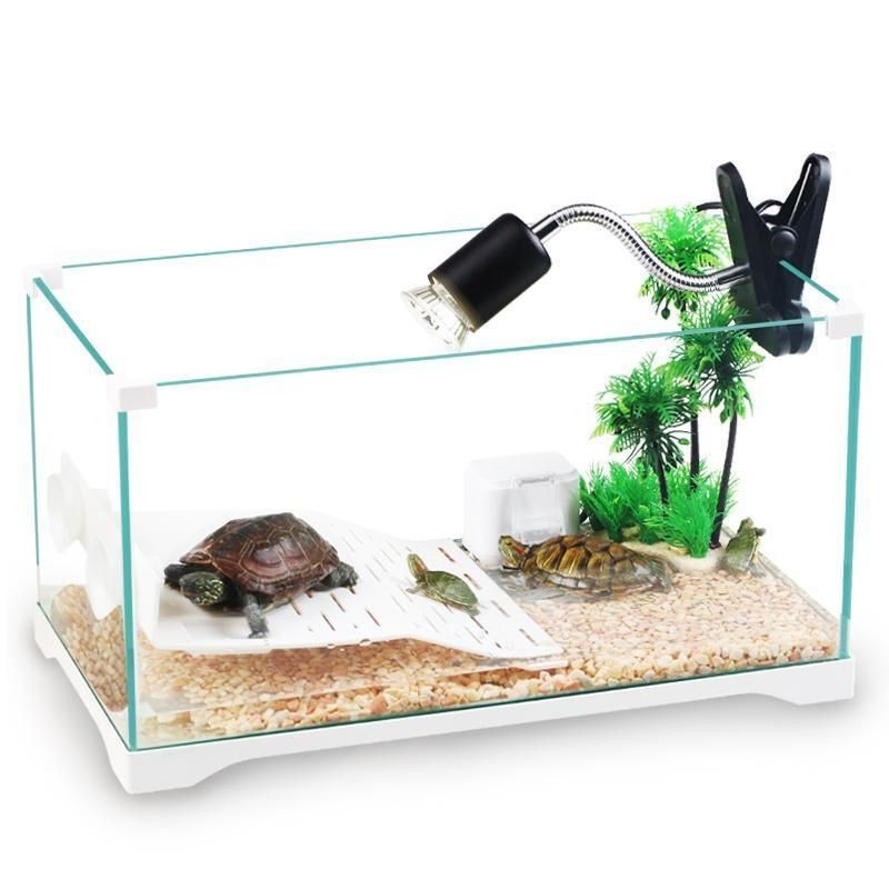 十大品牌魚缸：2024年十大品牌水族箱 十大品牌魚缸：2024年十大品牌水族箱 魚缸百科 第3張