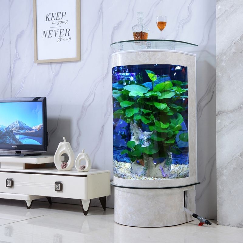 十大品牌魚缸：2024年十大品牌水族箱 十大品牌魚缸：2024年十大品牌水族箱 魚缸百科 第1張