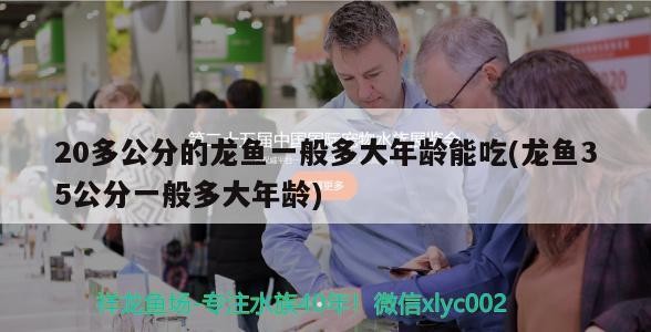 恩平市宸宇家居保潔服務部