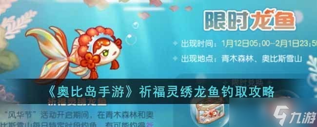 如何找到更多龍魚比賽資源？