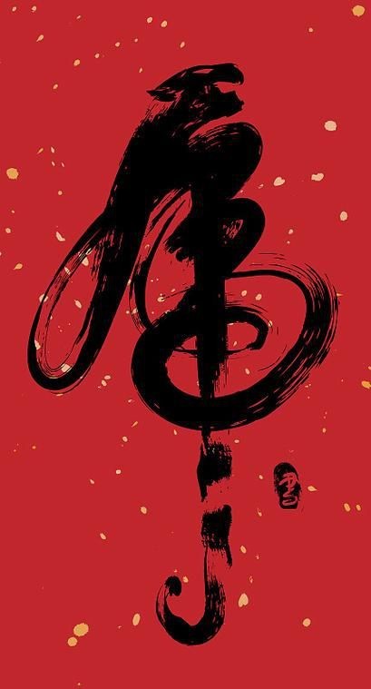 虎圖片大全最漂亮 虎圖片大全最漂亮 龍魚論壇 第18張