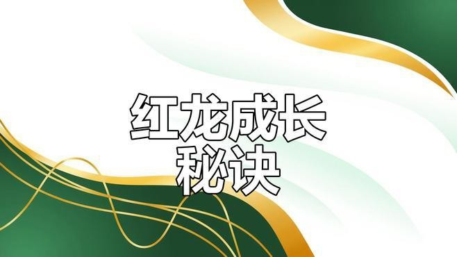 紅龍魚缸的燈光應該如何設置？