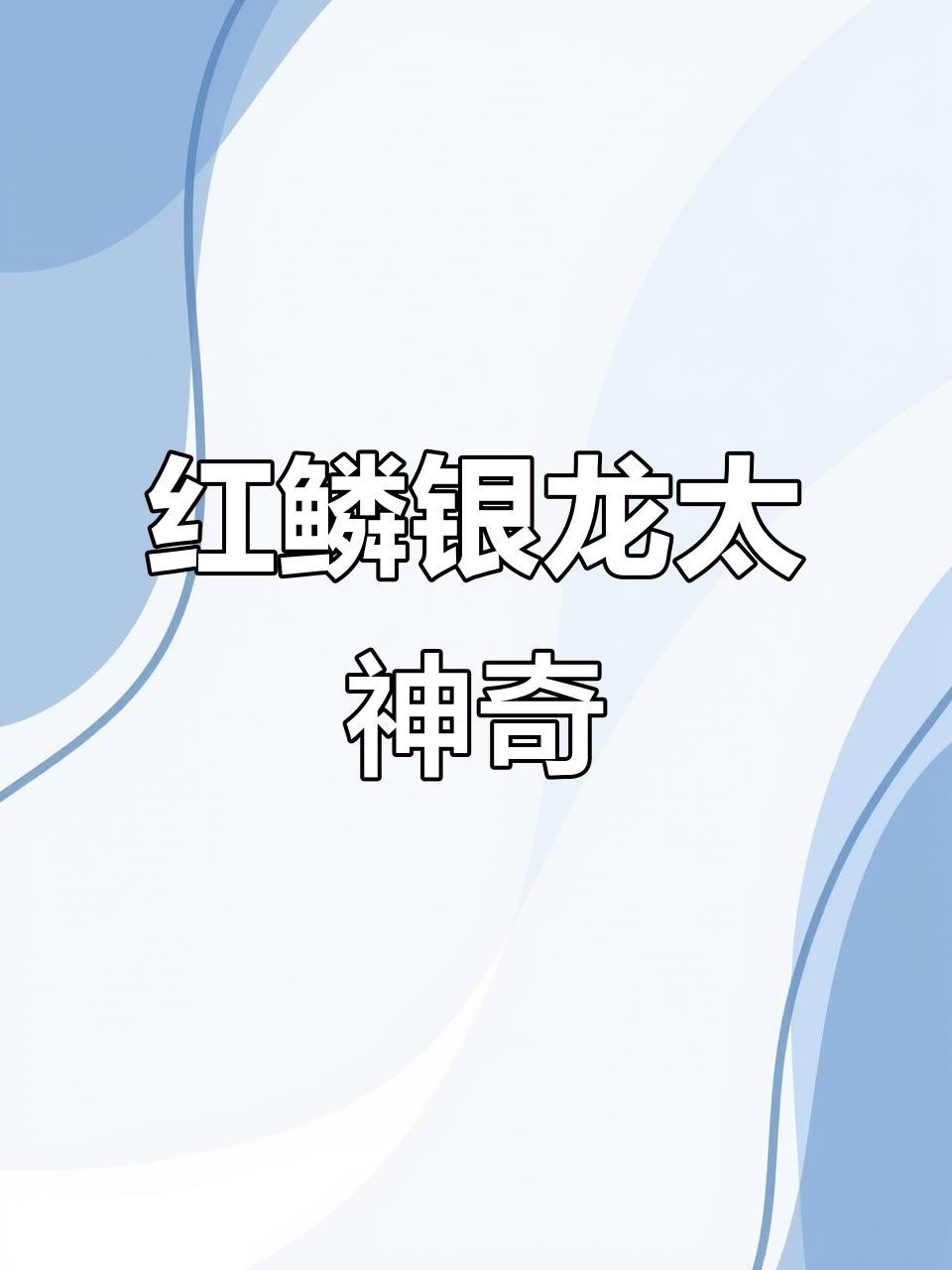 銀龍魚有幾種顏色