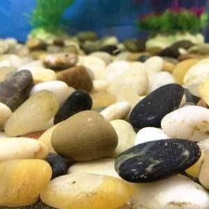 鵝卵石做魚缸造景效果圖鵝卵石做魚缸造景效果圖：如何使用鵝卵石做魚缸造景效果圖