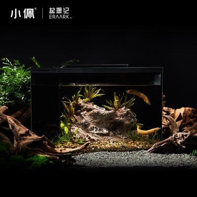 小佩魚缸pro 加熱：小佩魚缸pro加熱詳情