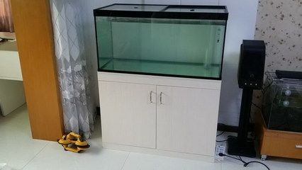 底濾魚缸過濾材料擺放方法對于維持水質清潔和穩定至關重要：底濾魚缸的過濾材料擺放方法