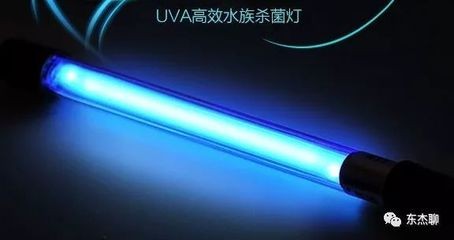 通化市二道江區(qū)鴨園鎮(zhèn)云江農(nóng)家院（通化二道江鴨園污水處理廠）