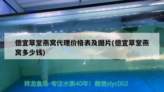 廣州華懂貿易店