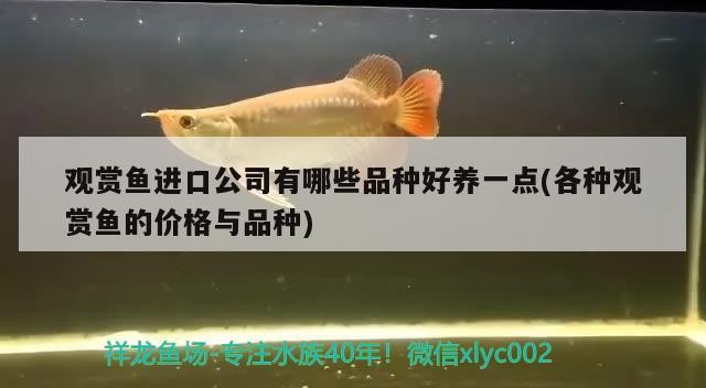 廣州華懂貿易店