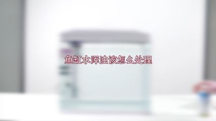 魚缸澄清劑什么牌子好用：好用的魚缸澄清劑有哪些？
