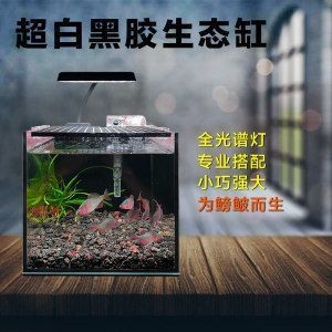 魚(yú)缸選哪種好一點(diǎn)(如何選擇一個(gè)適合自己的魚(yú)缸) 魚(yú)缸百科 第2張 魚(yú)缸選哪種好一點(diǎn)(如何選擇一個(gè)適合自己的魚(yú)缸) 魚(yú)缸選哪種好一點(diǎn)(如何選擇一個(gè)適合自己的魚(yú)缸) 魚(yú)缸百科 第2張