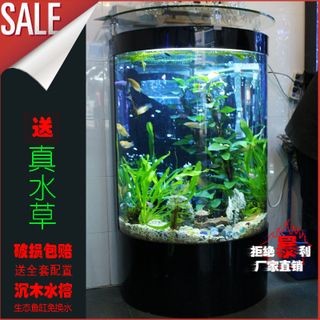 魚(yú)缸選哪種好一點(diǎn)(如何選擇一個(gè)適合自己的魚(yú)缸) 魚(yú)缸百科 第1張 魚(yú)缸選哪種好一點(diǎn)(如何選擇一個(gè)適合自己的魚(yú)缸) 魚(yú)缸選哪種好一點(diǎn)(如何選擇一個(gè)適合自己的魚(yú)缸) 魚(yú)缸百科 第1張
