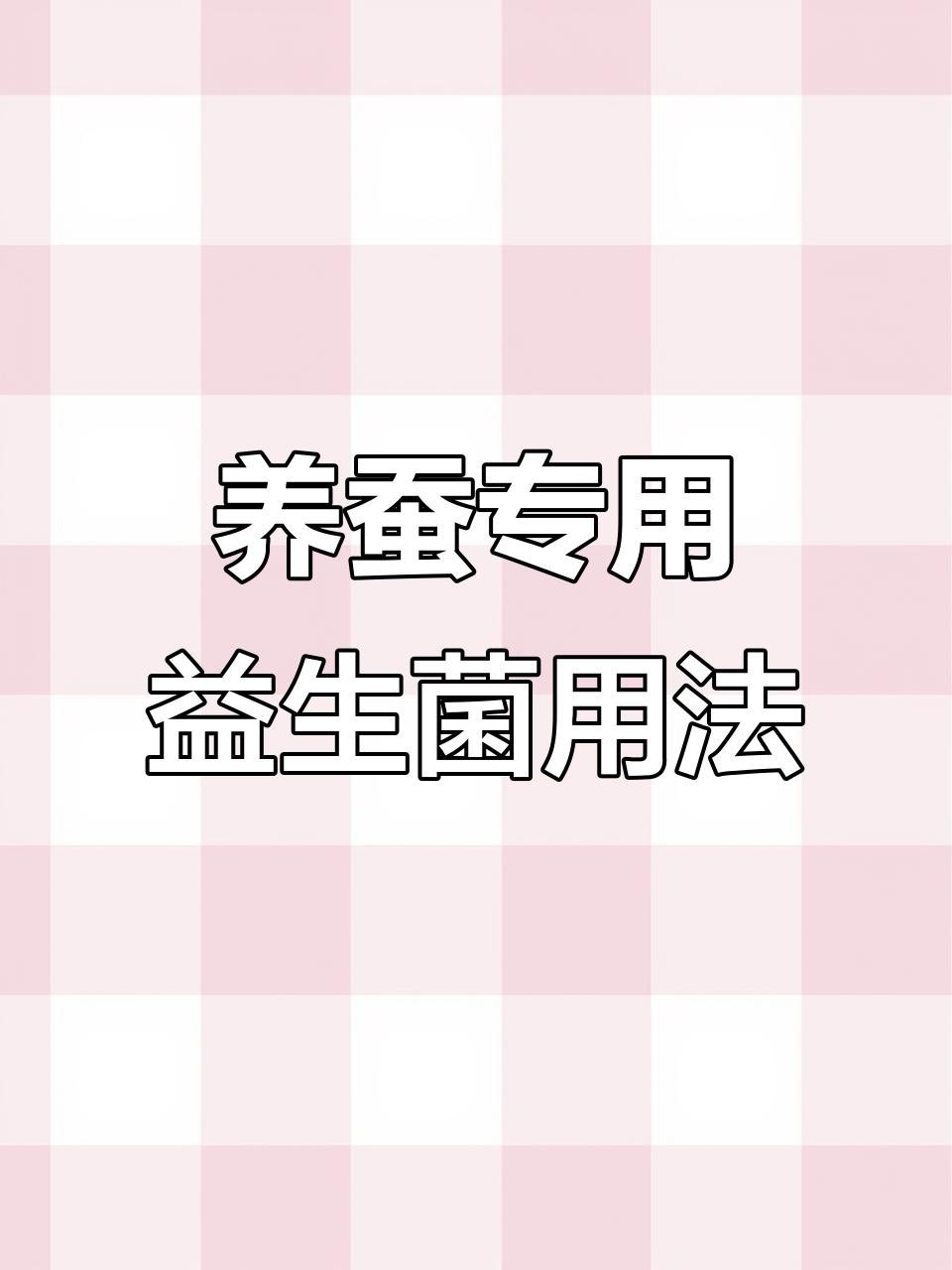 馬豆蠶道益生菌使用方法
