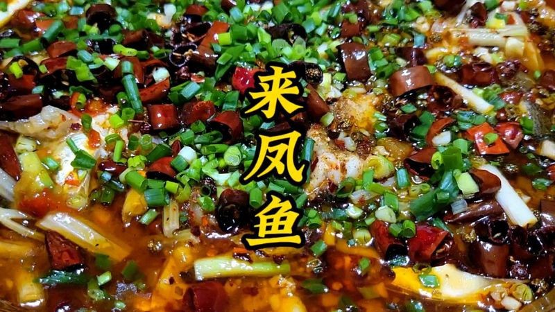 鳳魚圖片及價(jià)格