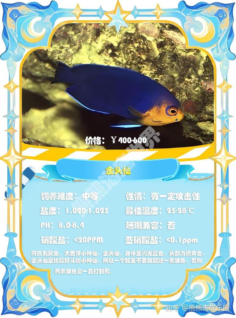 神仙魚品種大全圖解