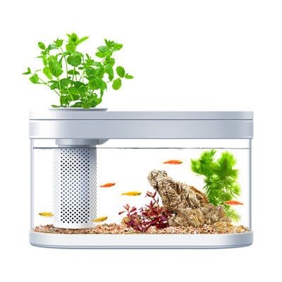 魚缸大牌子：選擇大牌子魚缸的建議和注意事項仟湖水族飼料購買渠道