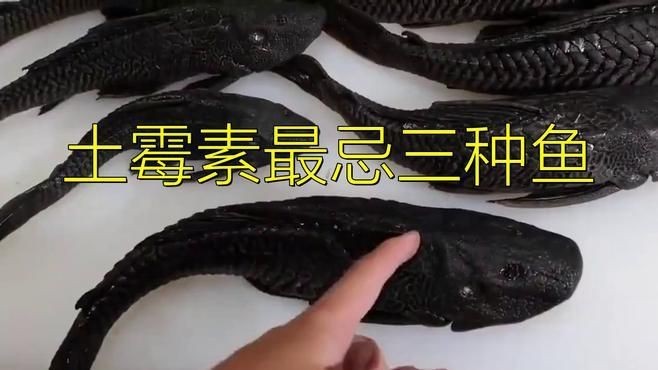 魟魚(yú)怕土霉素嗎
