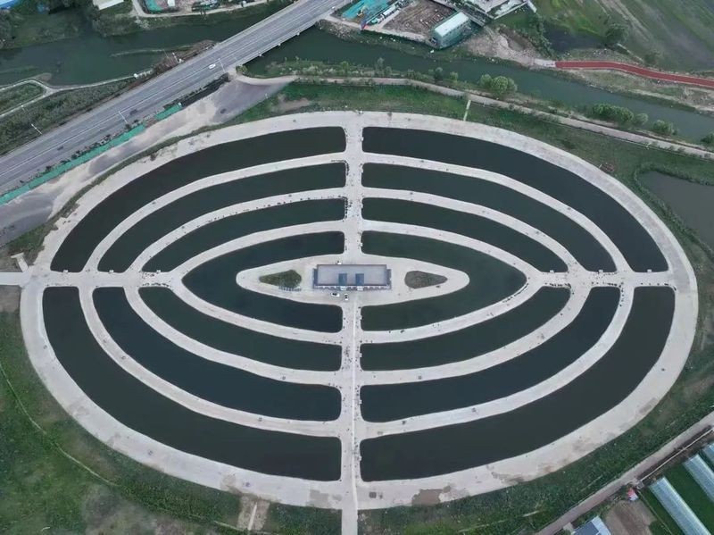 2025年長城龍魚賽程何時公布？