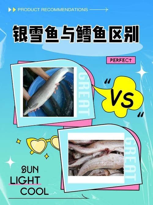 雪龍魚又叫什么魚圖片大全