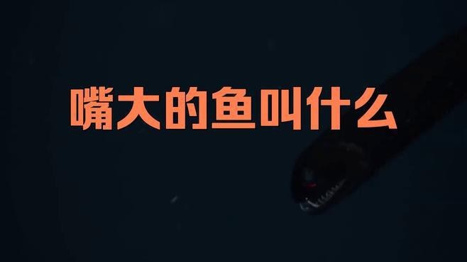大嘴巴的魚有哪幾種