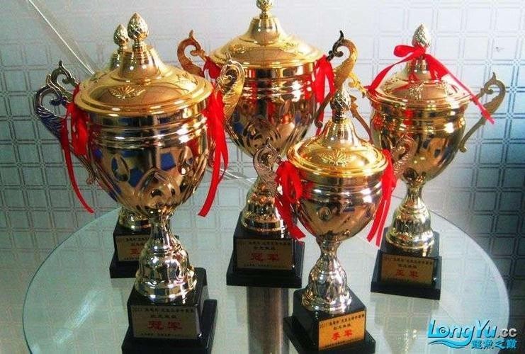 紅龍比賽冠軍魚高清圖
