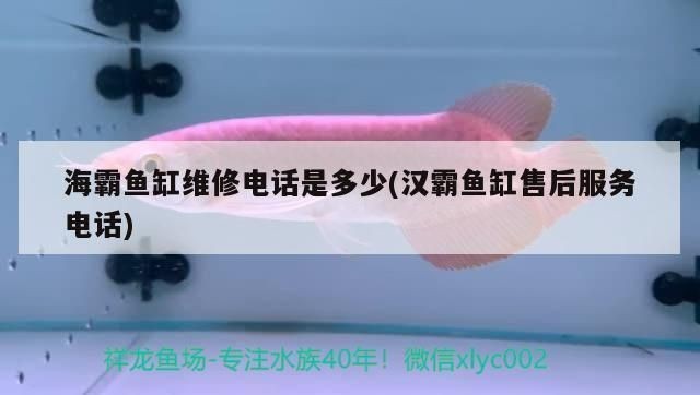 漢霸魚缸廠家聯系方式：漢霸魚缸廠家基本聯系方式