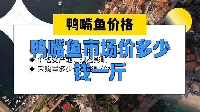 虎斑鴨嘴屬于什么檔次 虎斑鴨嘴屬于什么檔次 龍魚論壇 第3張