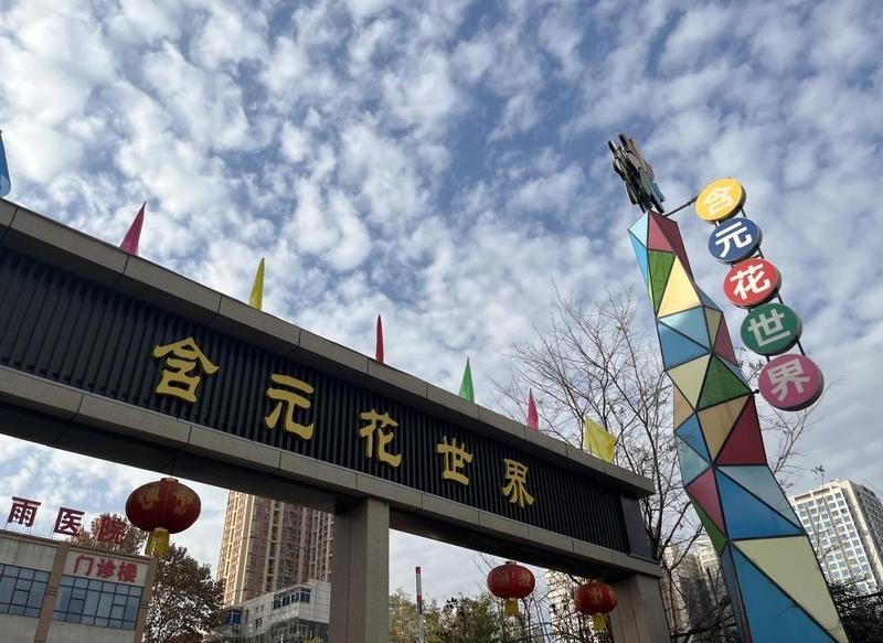 中國斗魚 觀賞魚
