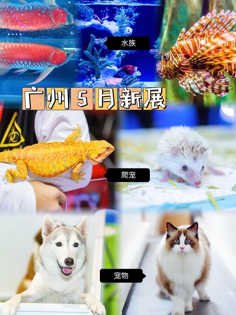 如何預約廣州國際水族展覽會的門票？