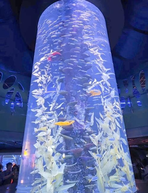 如何預(yù)約廣州國際水族展覽會的門票？