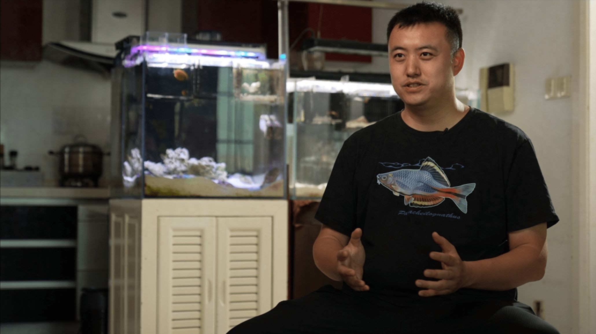海王魚缸的養護秘籍探索如何在家中創造適宜海洋生物生長的環境：關于海王魚缸的一些信息