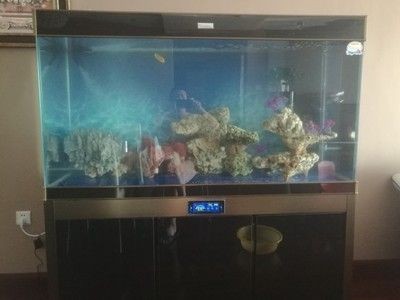 漢霸魚缸質量差怎么辦啊：關于“漢霸魚缸質量差”的問題沒有找到直接的相關信息