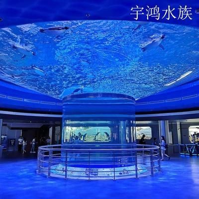 海洋館設(shè)計的藝術(shù)與科學(xué)海洋館設(shè)計中的亞克力魚缸：亞克力魚缸設(shè)計的藝術(shù)與科學(xué)海洋館設(shè)計的藝術(shù)與科學(xué)