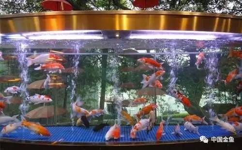 風(fēng)水魚缸擺放在入門正對(duì)面（風(fēng)水魚缸擺放在什么位置）