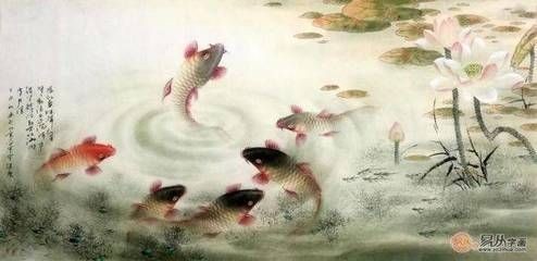 龍魚魚缸價格：吉林龍魚魚缸，打造高端觀賞魚養殖的藝術空間
