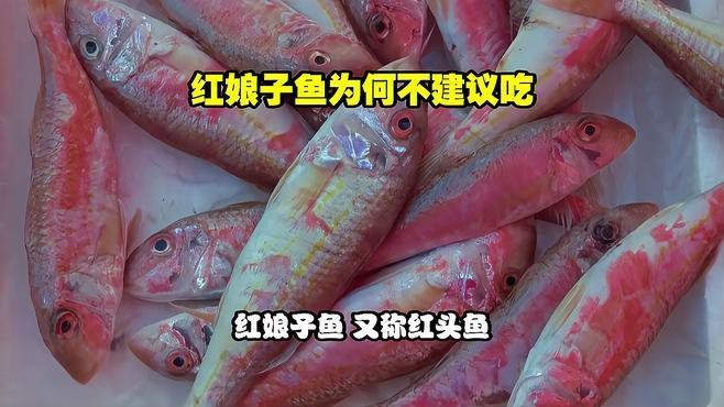 紅頭魚為何要盡量少吃