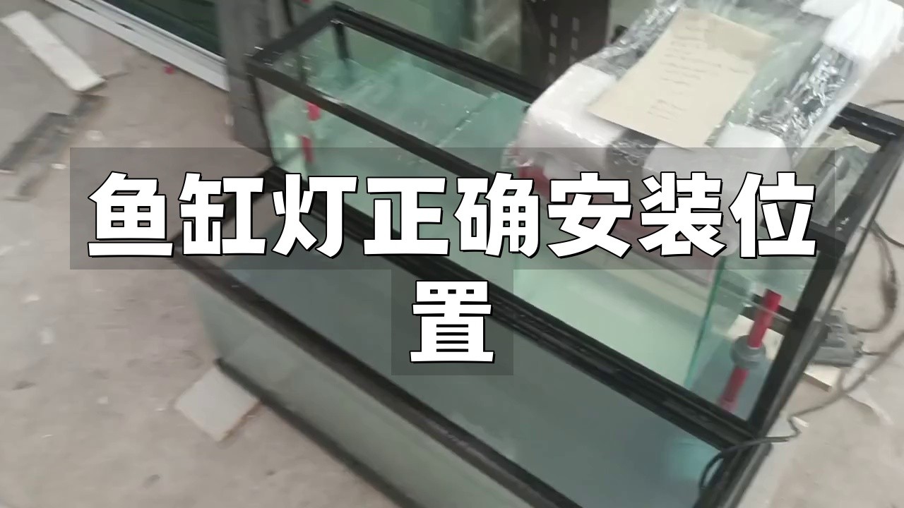 龍魚缸頂燈放在中間還是兩邊