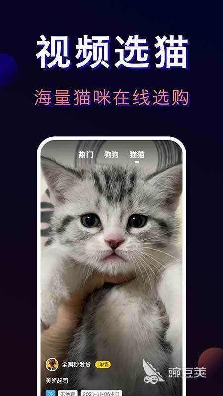 哪個平臺賣寵物最可靠？