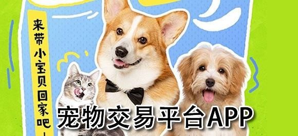 哪個平臺賣寵物最可靠？