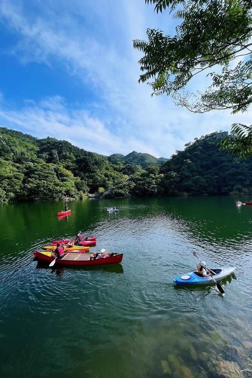 水長城寵物介紹及價格