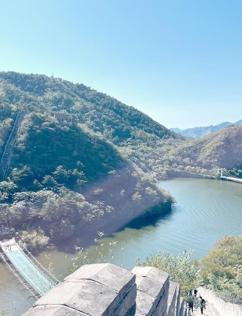 水長城寵物介紹及價(jià)格